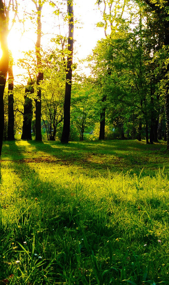氣相液氮罐